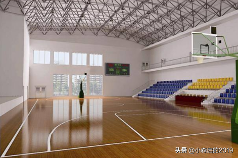 地板篮球专用木材有哪些_地板篮球专用木料有哪些_篮球场专用木地板