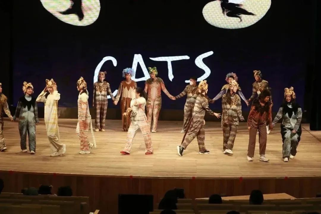 舞台地板_舞台上的地板是什么木_舞台木地板用什么材料